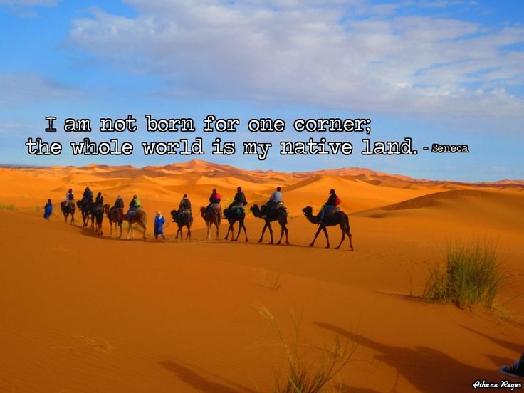 78e3feedeb9e16164e100954c0c4041a 78e3feedeb9e16164e100954c0c4041a